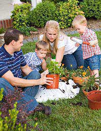 Gardening Plants Garden Stress Relief